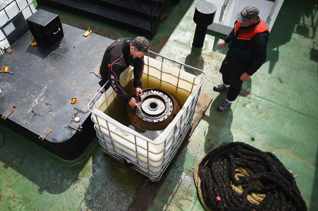 bom dong dat Anh anh 6