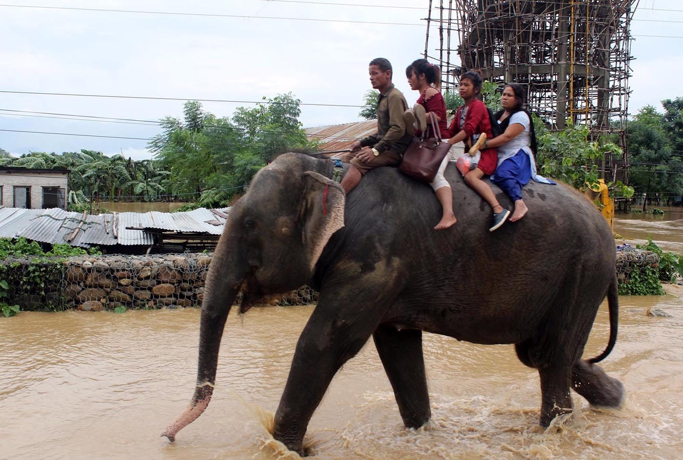 bao lu the gioi anh 5