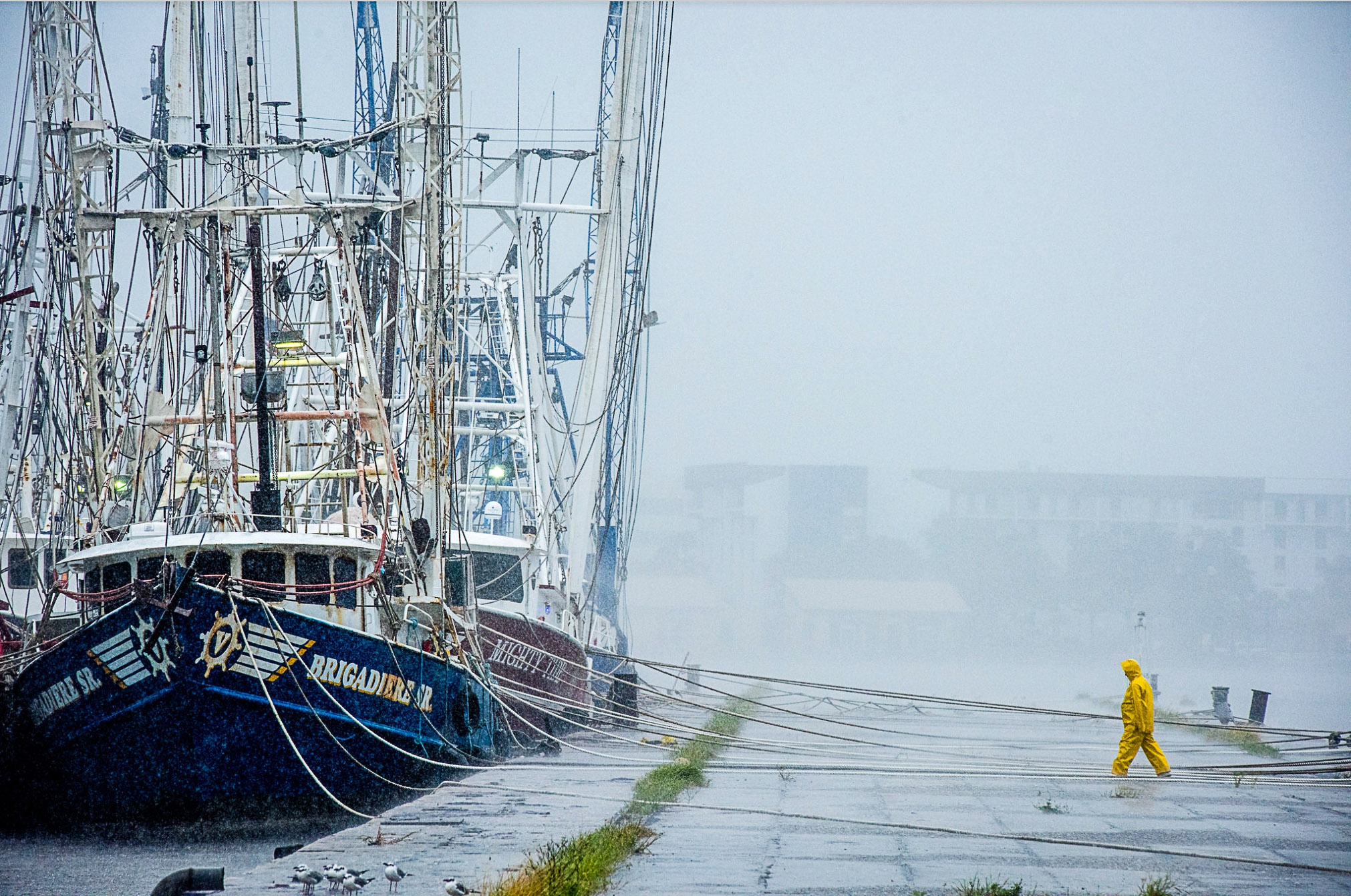 sieu bao Irma can quet anh 2