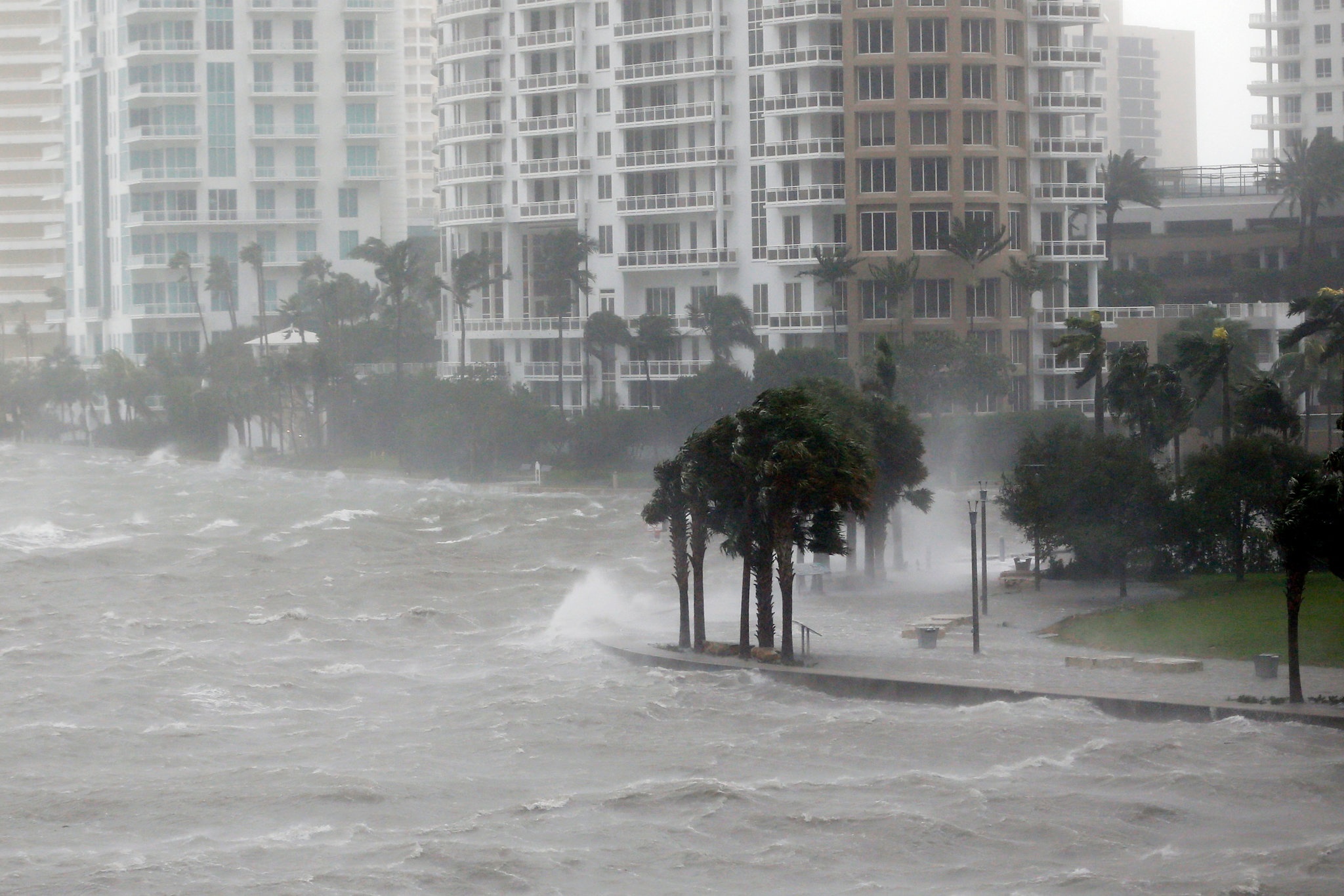 sieu bao Irma can quet anh 8