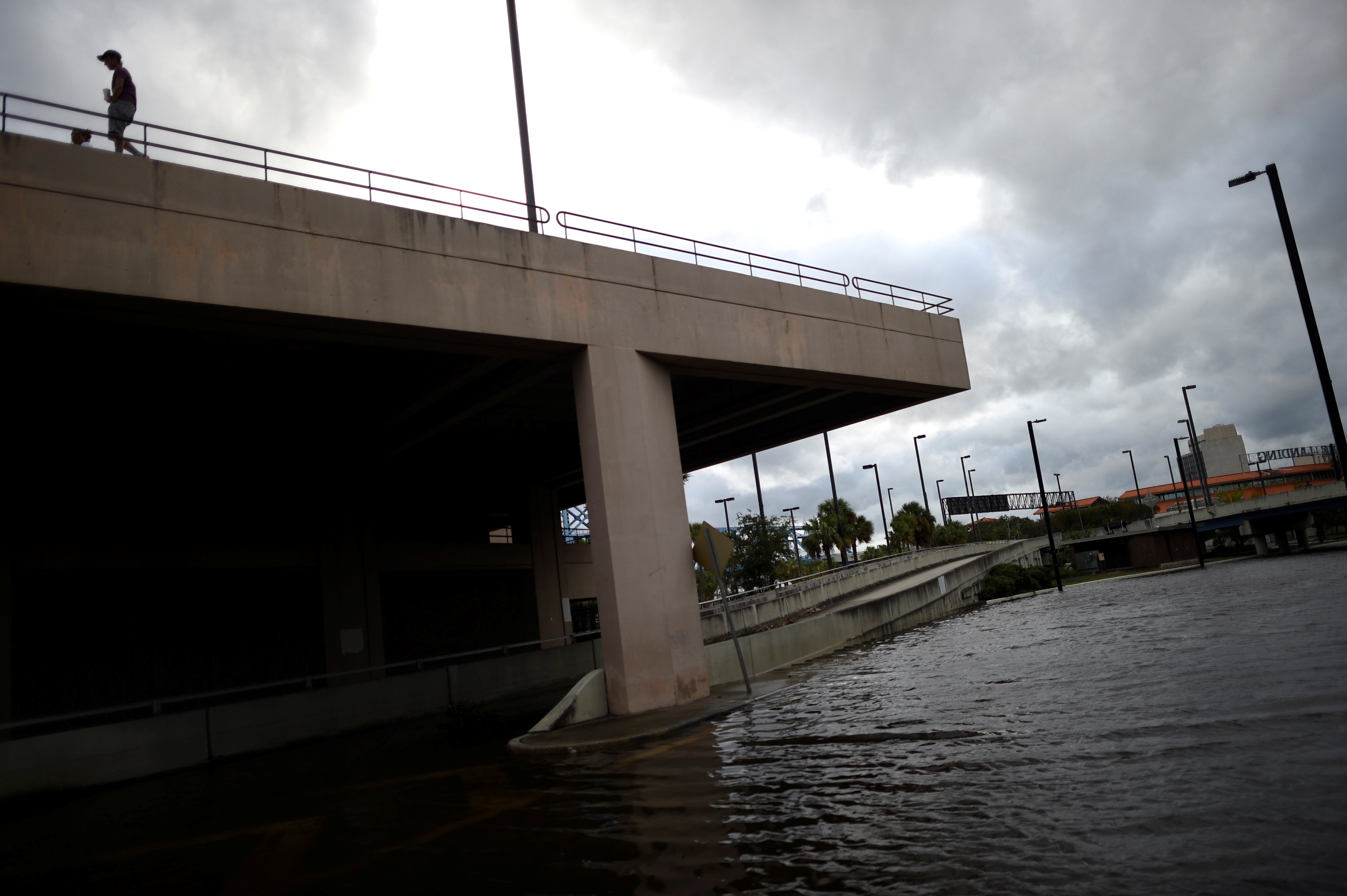 Florida tan hoang sau bao anh 6