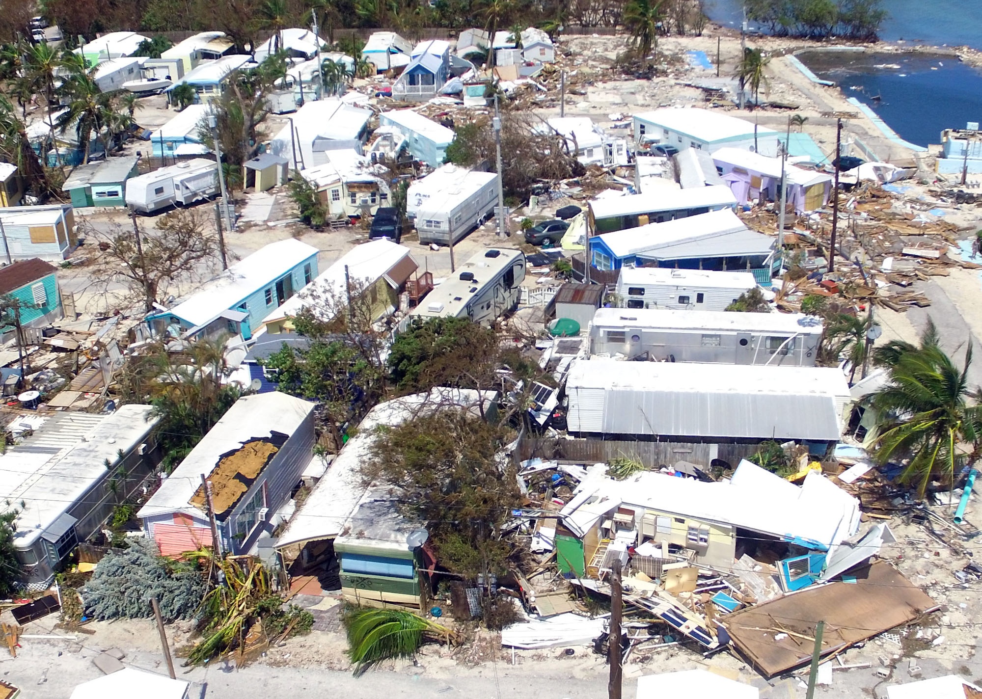 Florida tan hoang sau bao anh 2