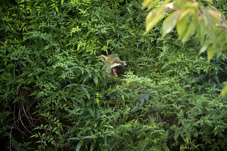 anh cuoi tuan anh 13