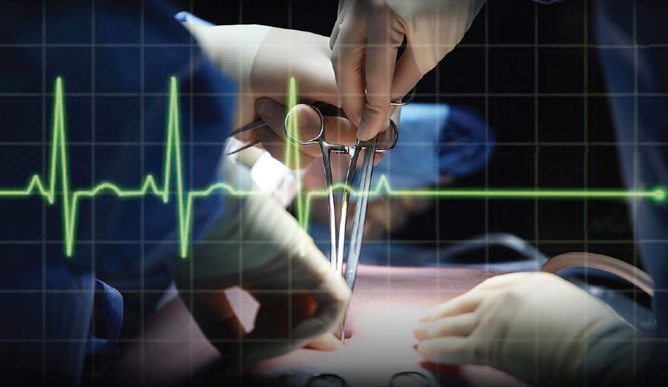 Nghien cuu chan dong: Nao van hoat dong sau khi co the chet hinh anh