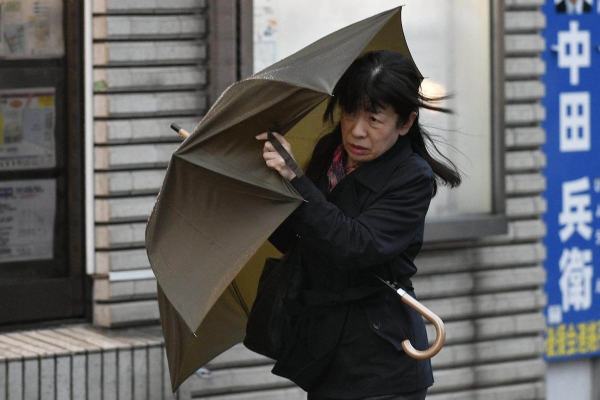 bao Lan o Nhat Ban anh 2