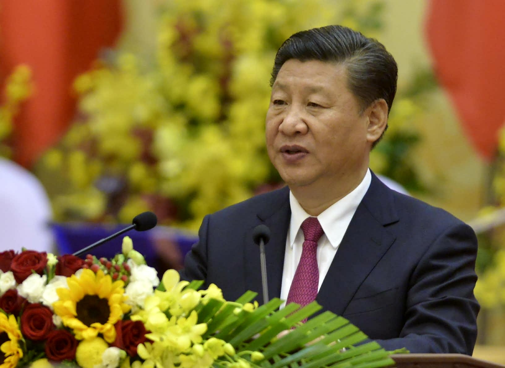 Tiec chieu dai Chu tich Trung Quoc Tap Can Binh hinh anh