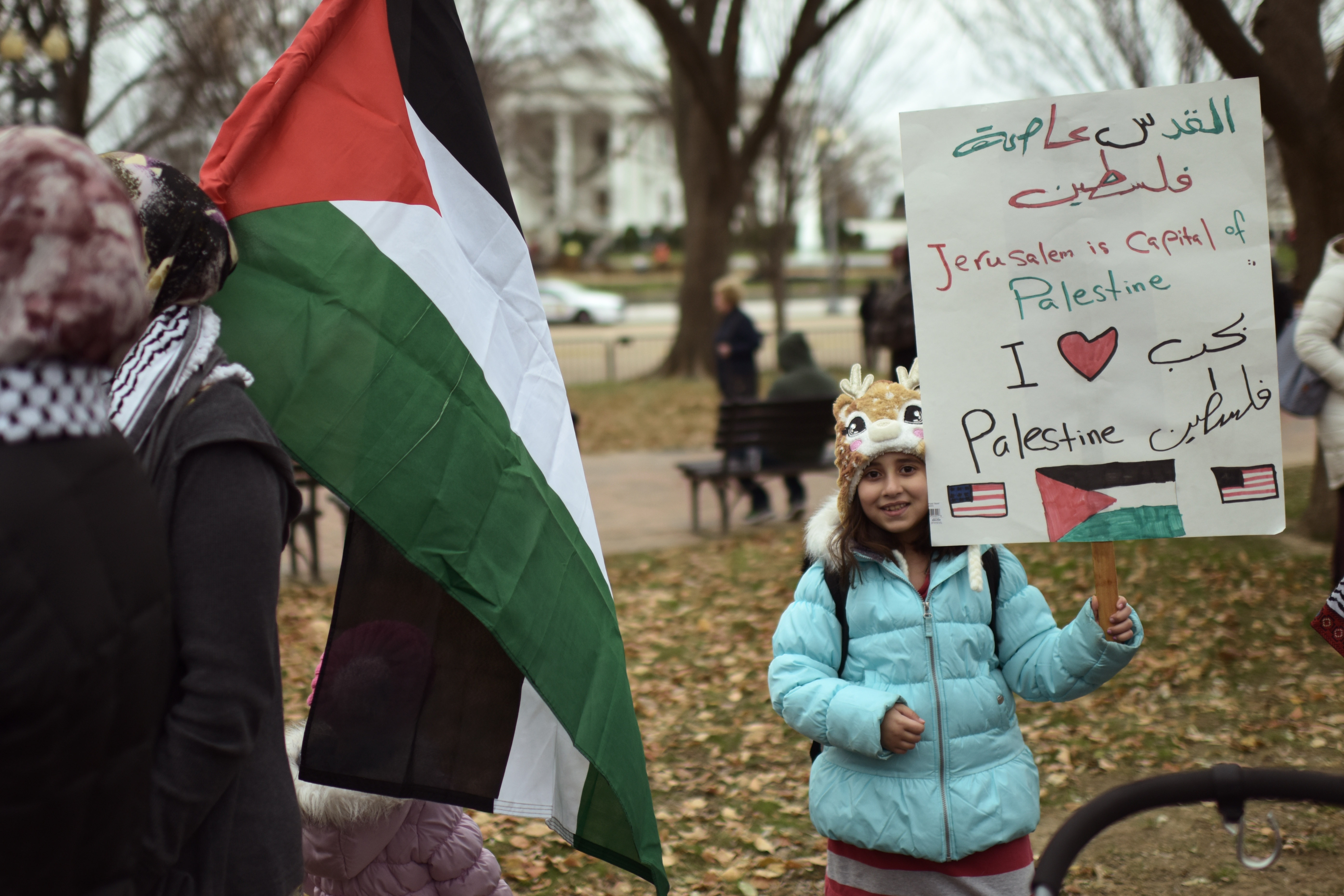 nguoi Hoi giao phan doi Trump anh 6