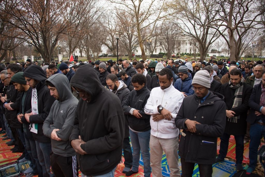 nguoi Hoi giao phan doi Trump anh 7