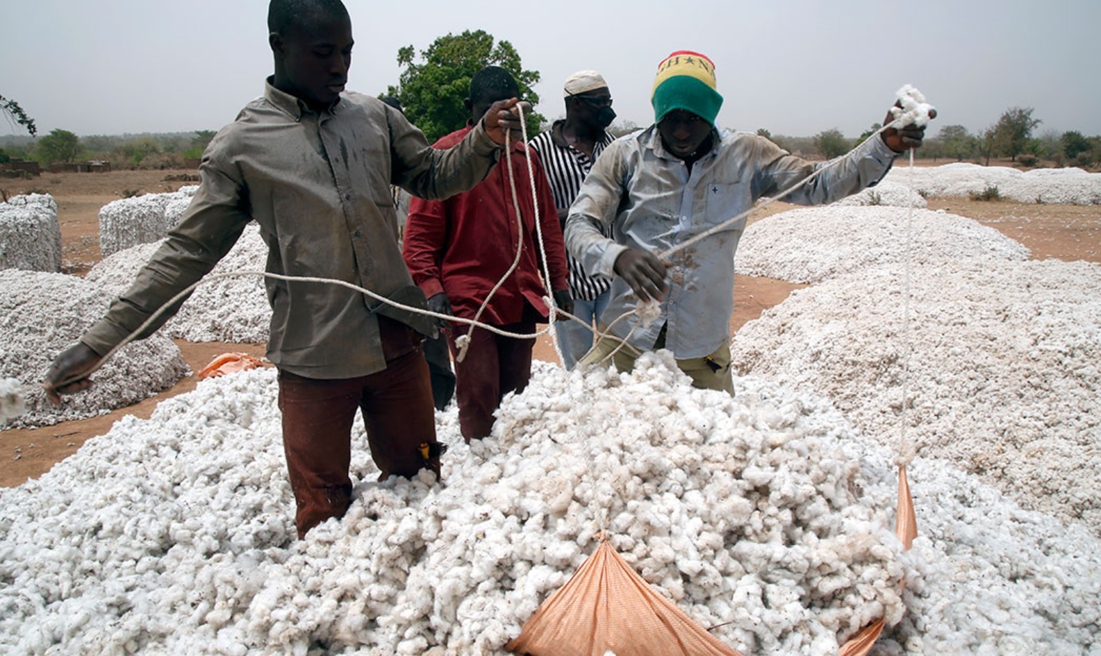 Cong ty san xuat chat doc da cam Monsanto gay ton hai o chau Phi hinh anh