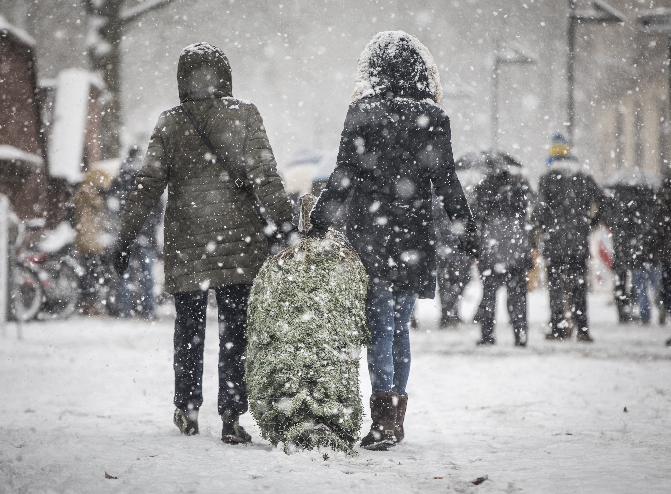 tuyet roi o chau Au anh 13