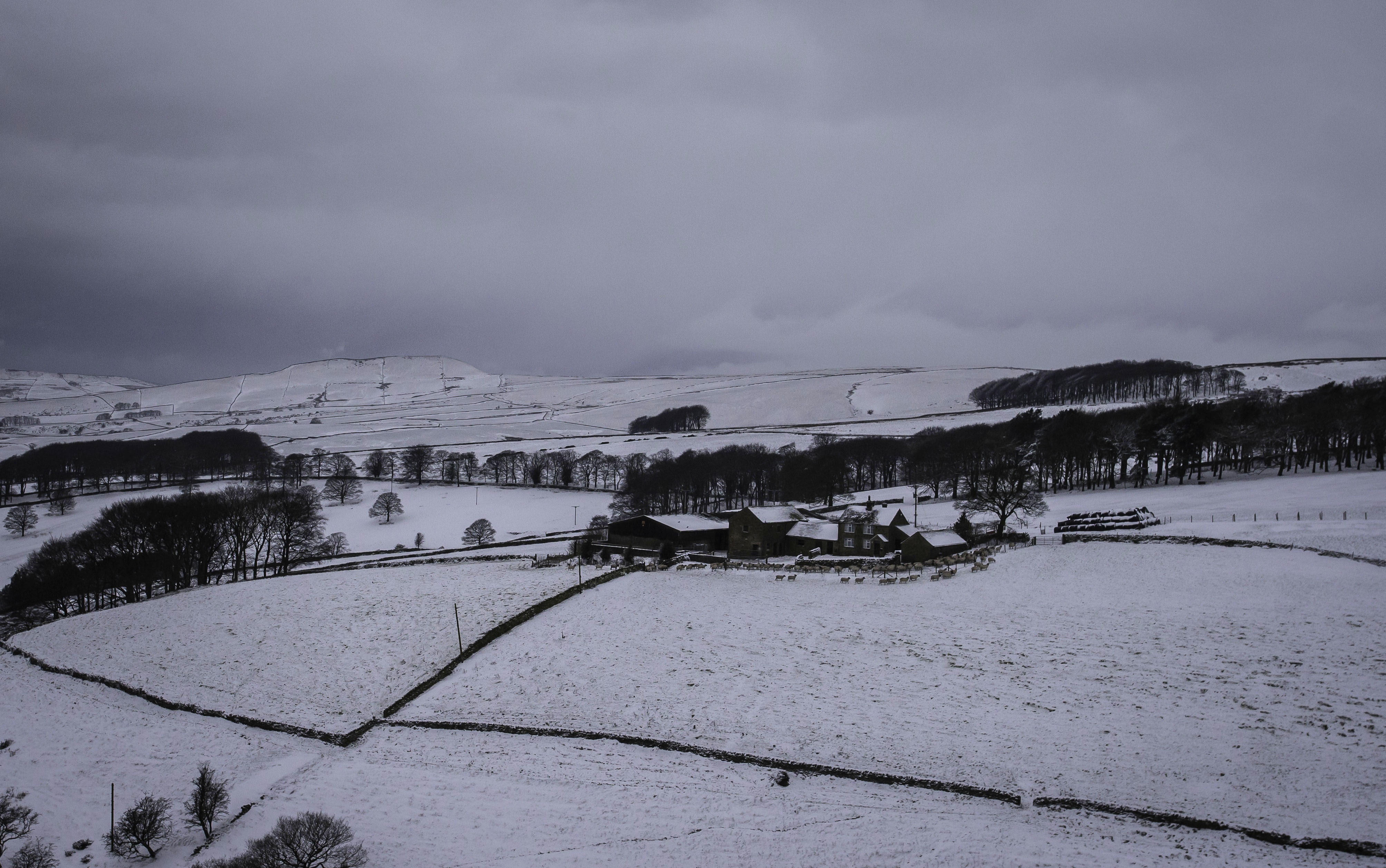 tuyet roi o chau Au anh 1