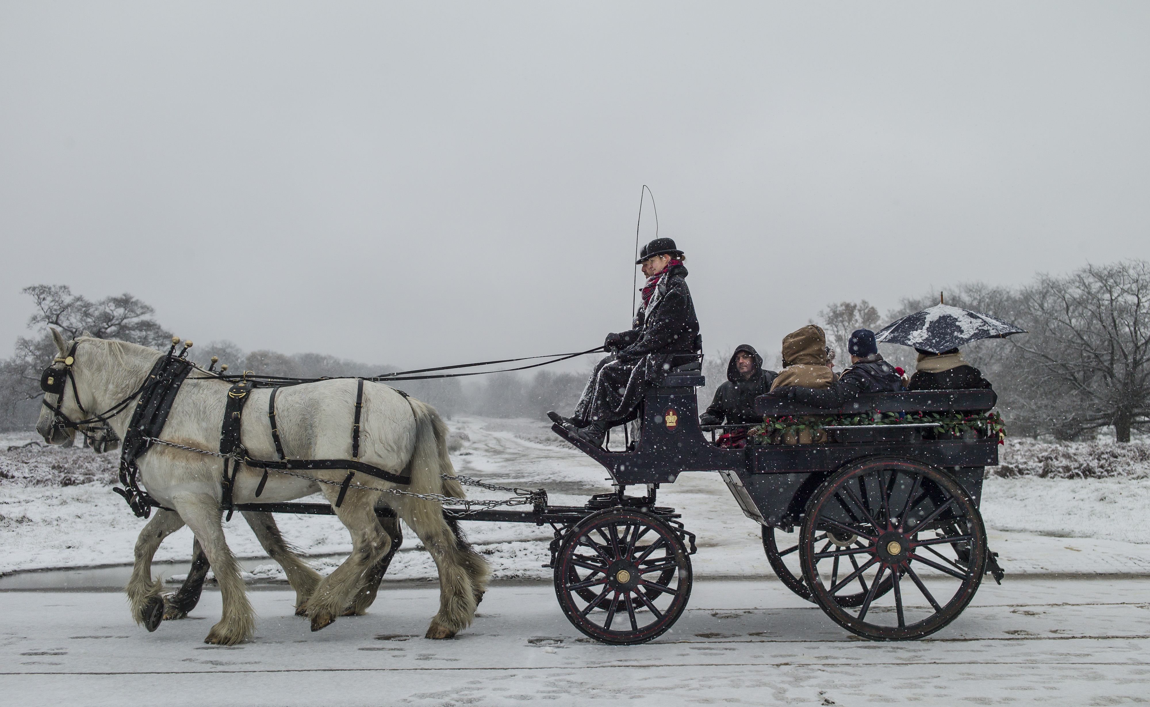 tuyet roi o chau Au anh 2