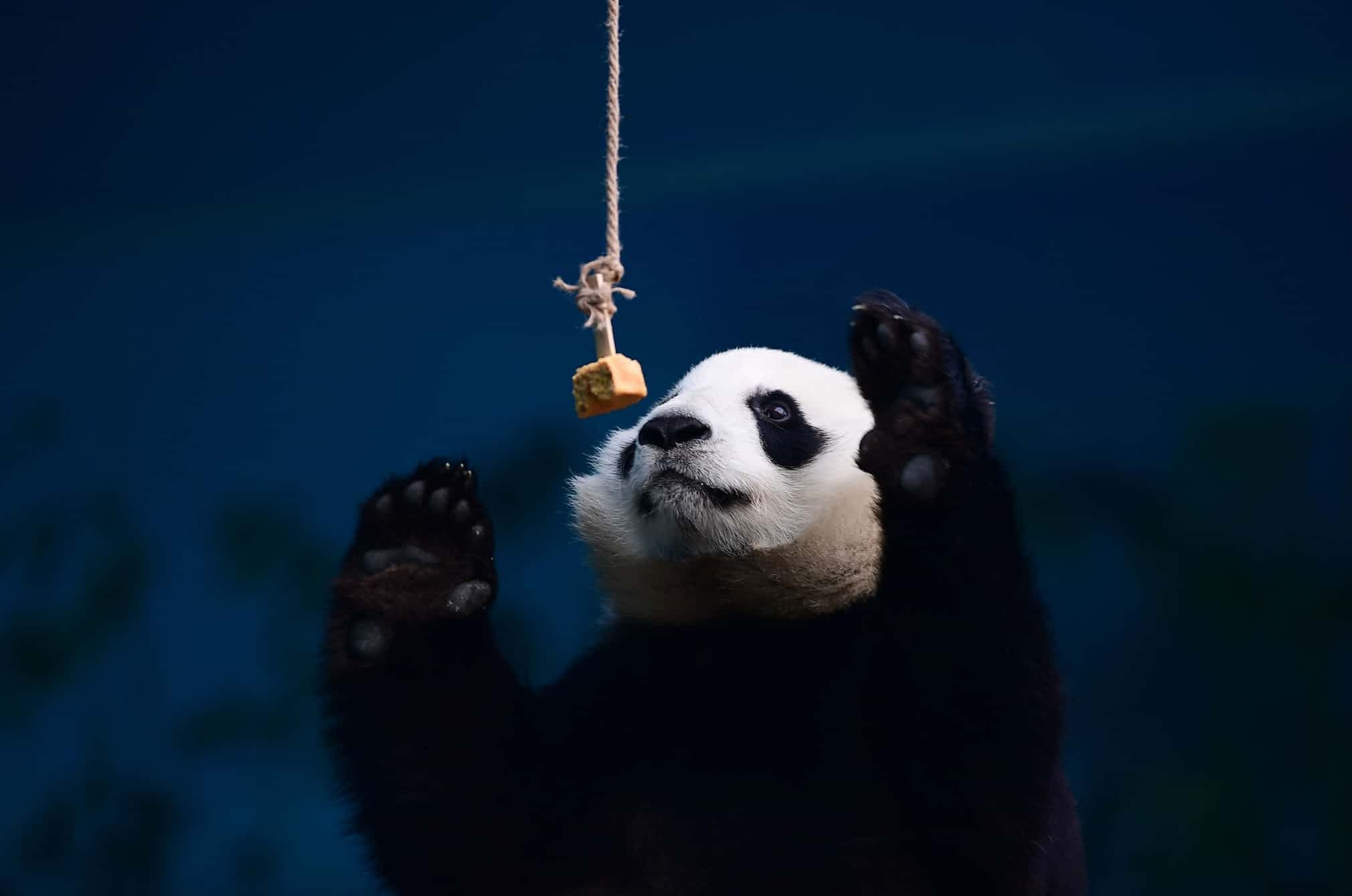 anh cuoi tuan anh 11