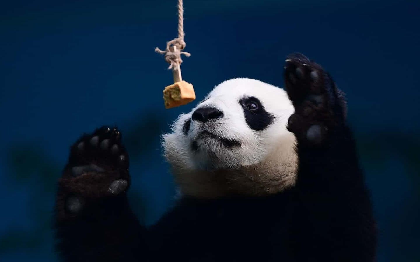 Top anh tuan: Di giua khong trung va 'Trieu vi sao' hinh anh