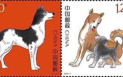 Con sot tem nam Tuat: Nguoi Trung Quoc xep hang 5 ngay hinh anh