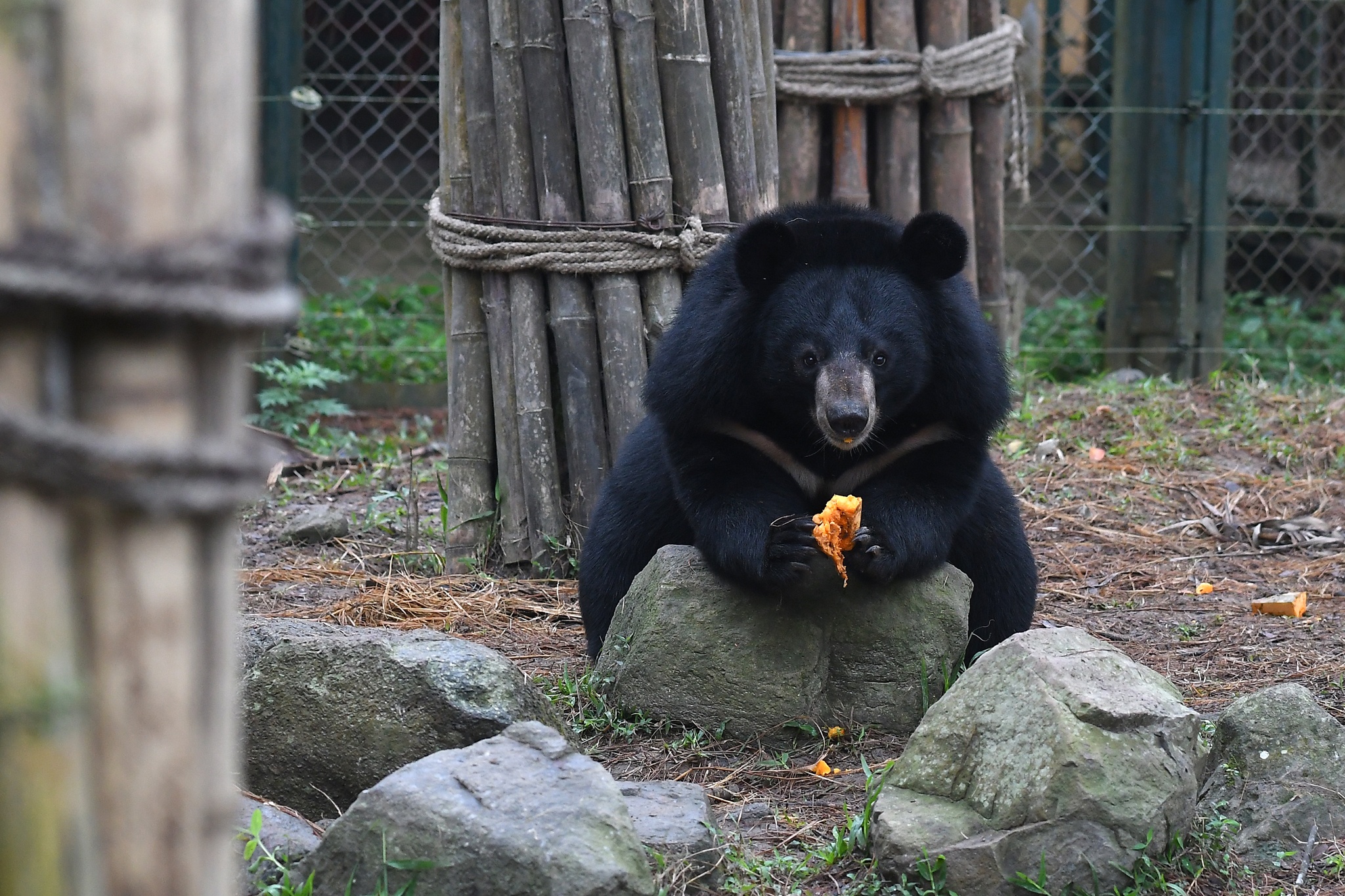 quoc vu khanh Anh tham Viet Nam anh 6