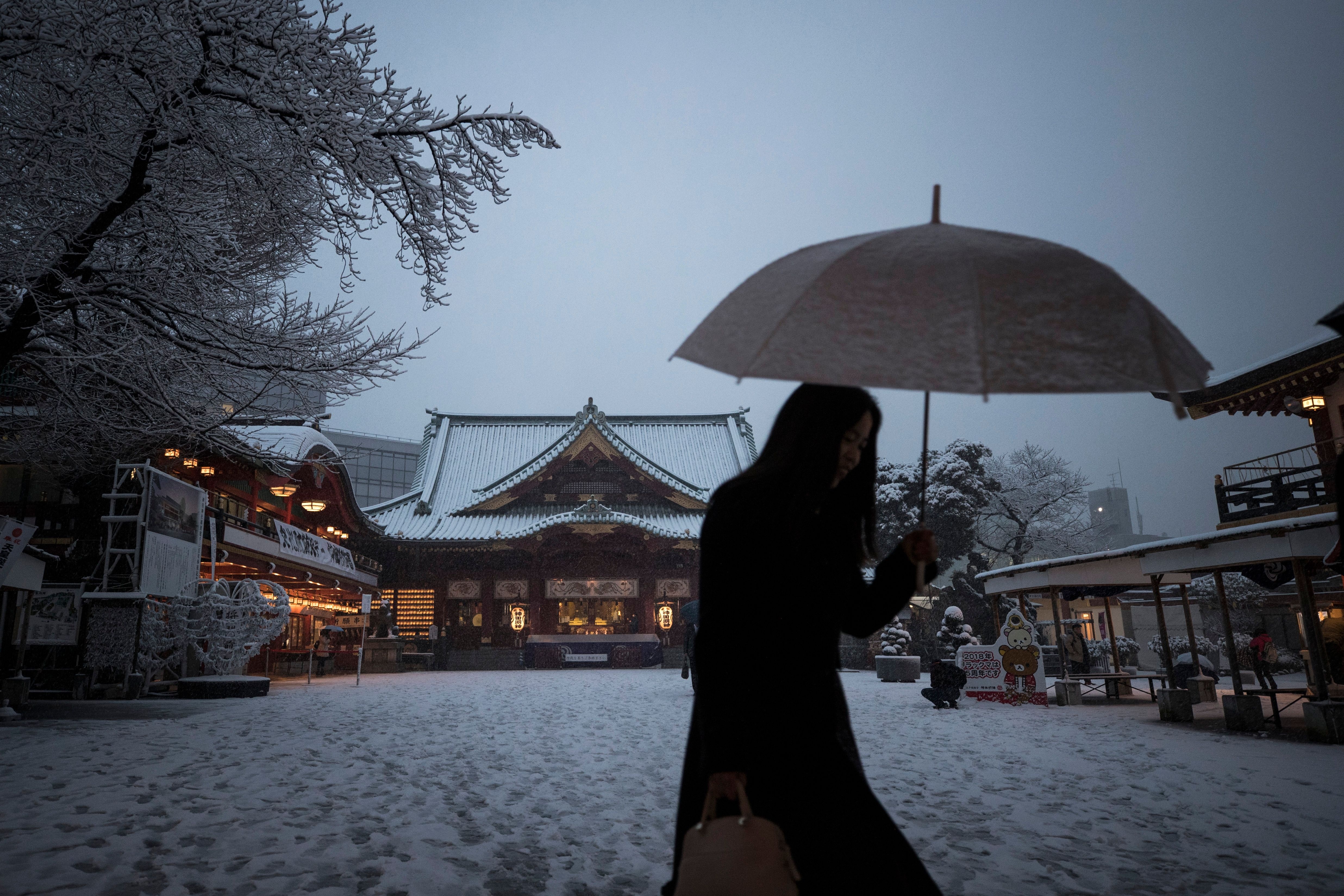 Bao tuyet ky luc tan cong Tokyo, 6.000 nguoi mac ket o san bay hinh anh