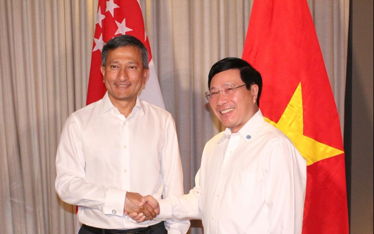 Viet Nam va Singapore thuc day dam phan thuc chat COC hinh anh