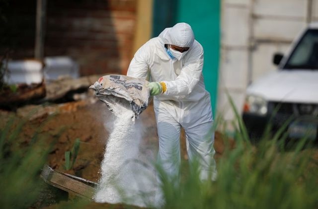 Tim thay hang chuc hai cot tai nha cua mot cuu canh sat El Salvador hinh anh