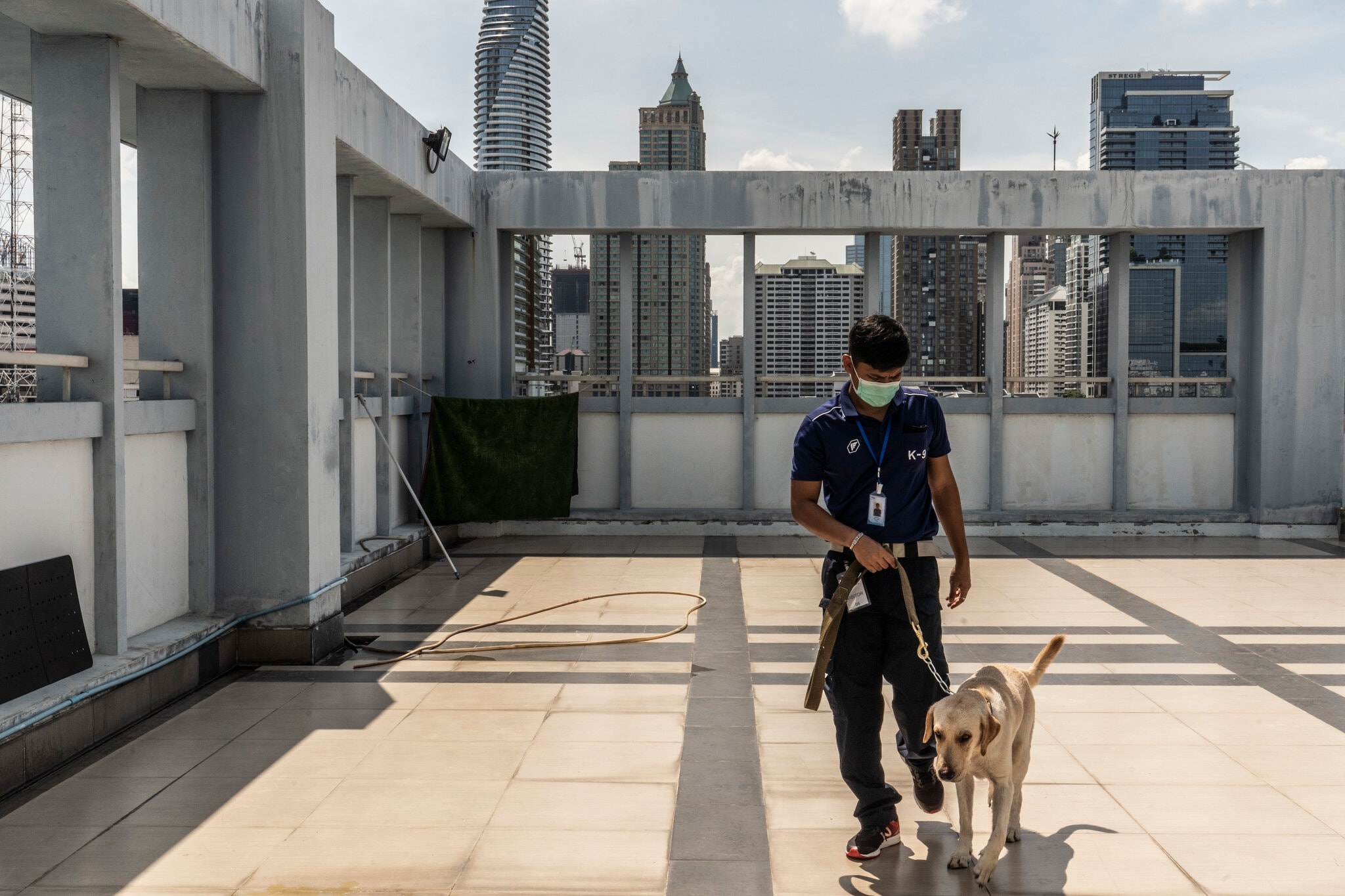 Cho phat hien Covid-19 anh 5