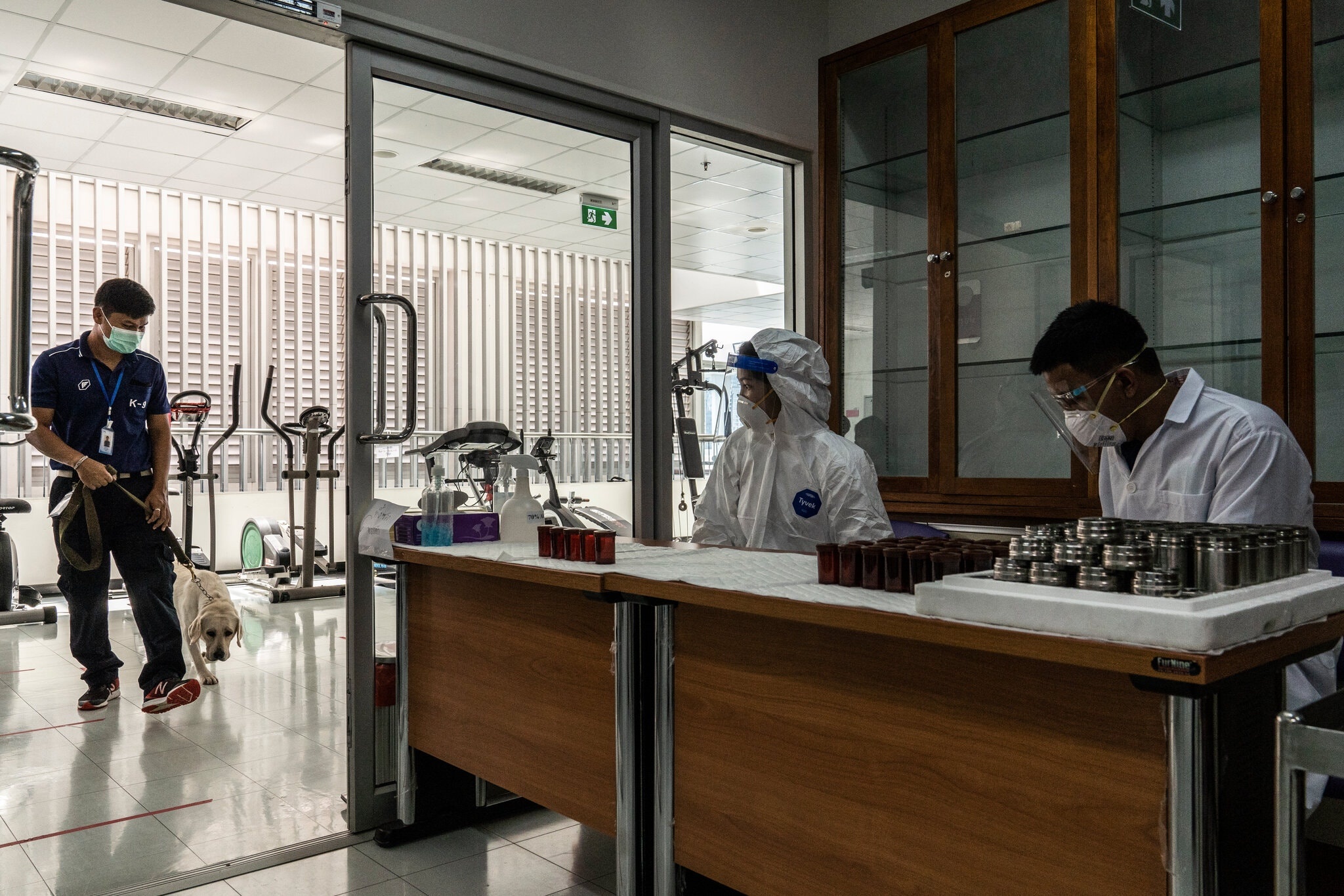 Cho phat hien Covid-19 anh 6