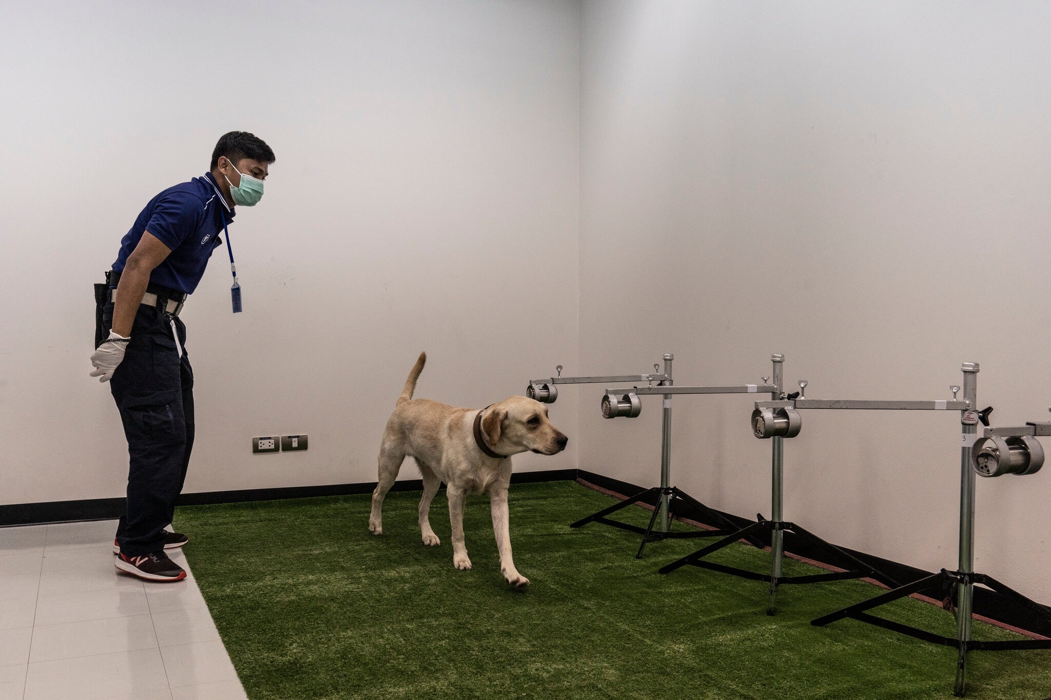 Cho phat hien Covid-19 anh 2