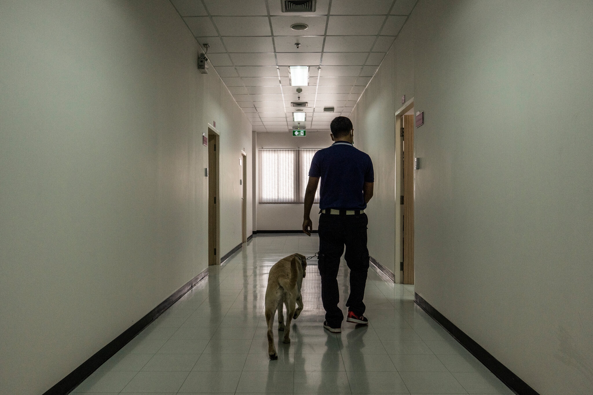 Cho phat hien Covid-19 anh 7