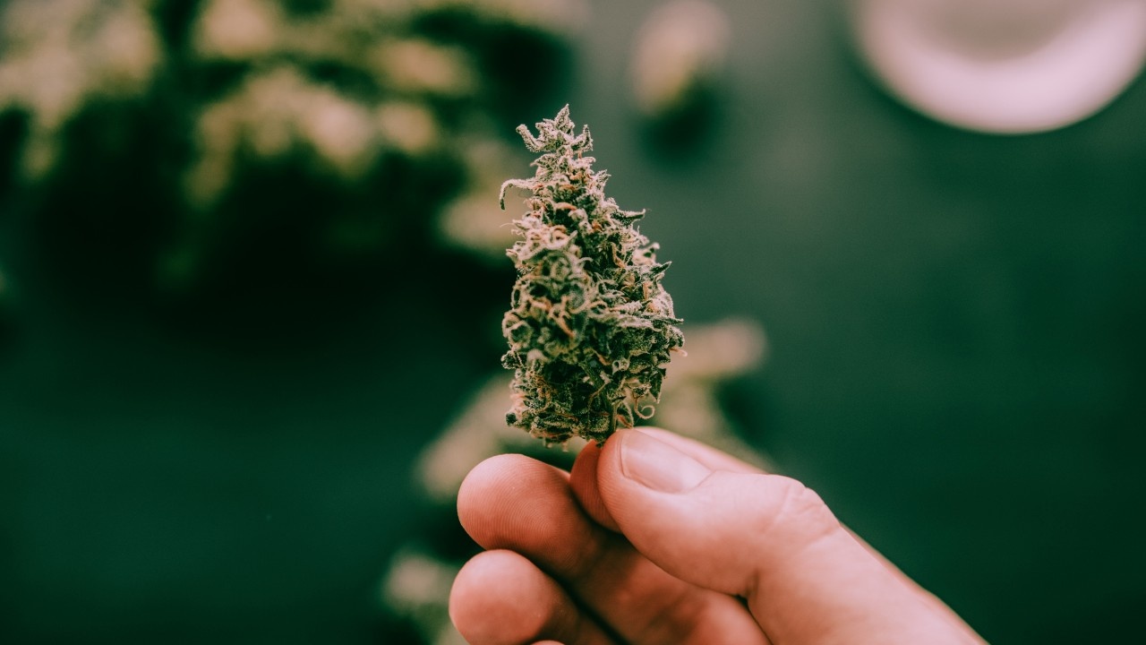 Hong Kong dot kich co so can sa lon nhat thap nien hinh anh