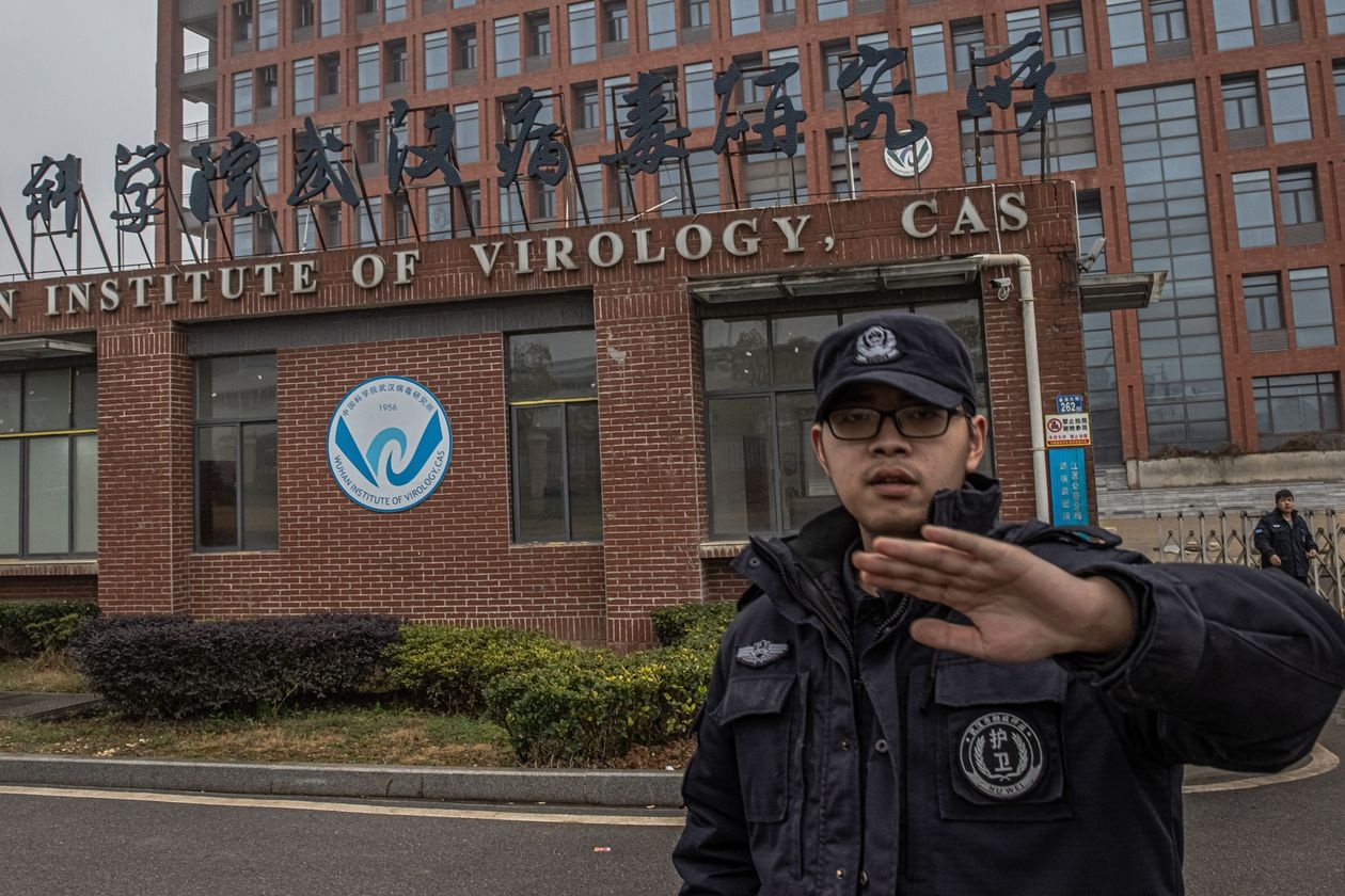 Nghi van 'em nhem' bao cao ve nguon goc dai dich hinh anh