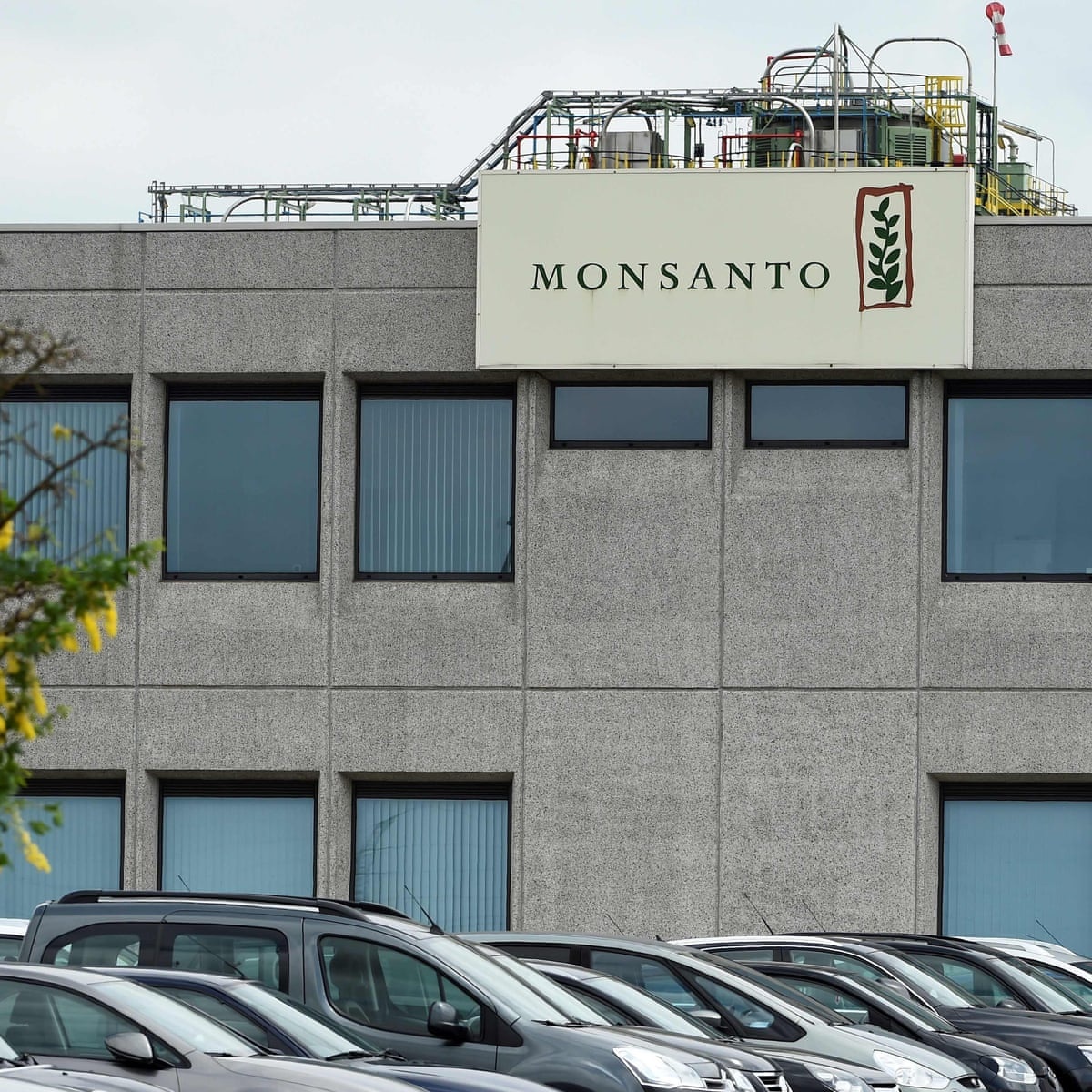 Ba giao vien My duoc boi thuong 185 trieu USD sau vu kien Monsanto hinh anh