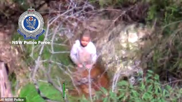 Be trai Australia duoc tim thay sau ba ngay lac trong rung hinh anh