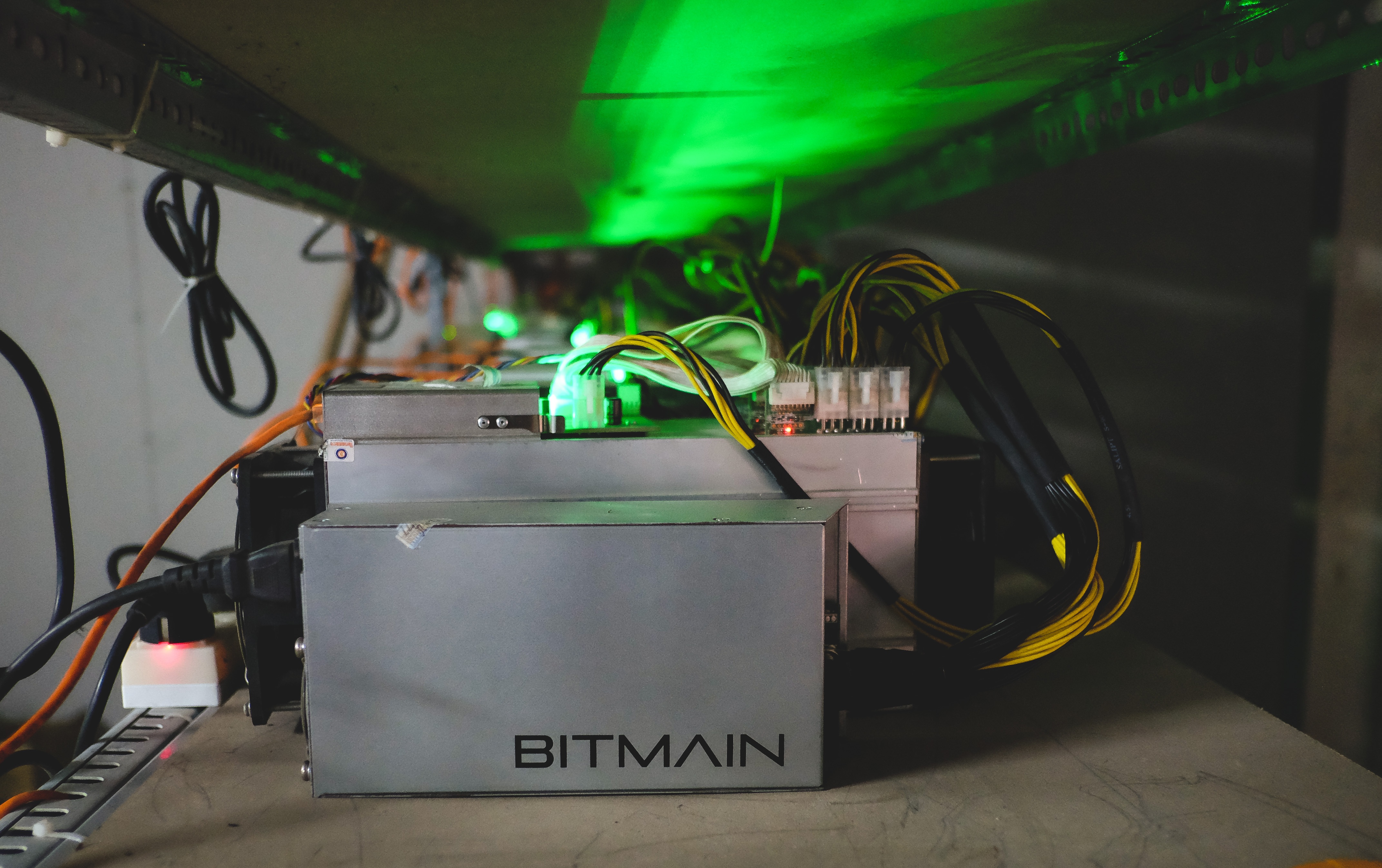 dao tien so tai Viet Nam anh 2