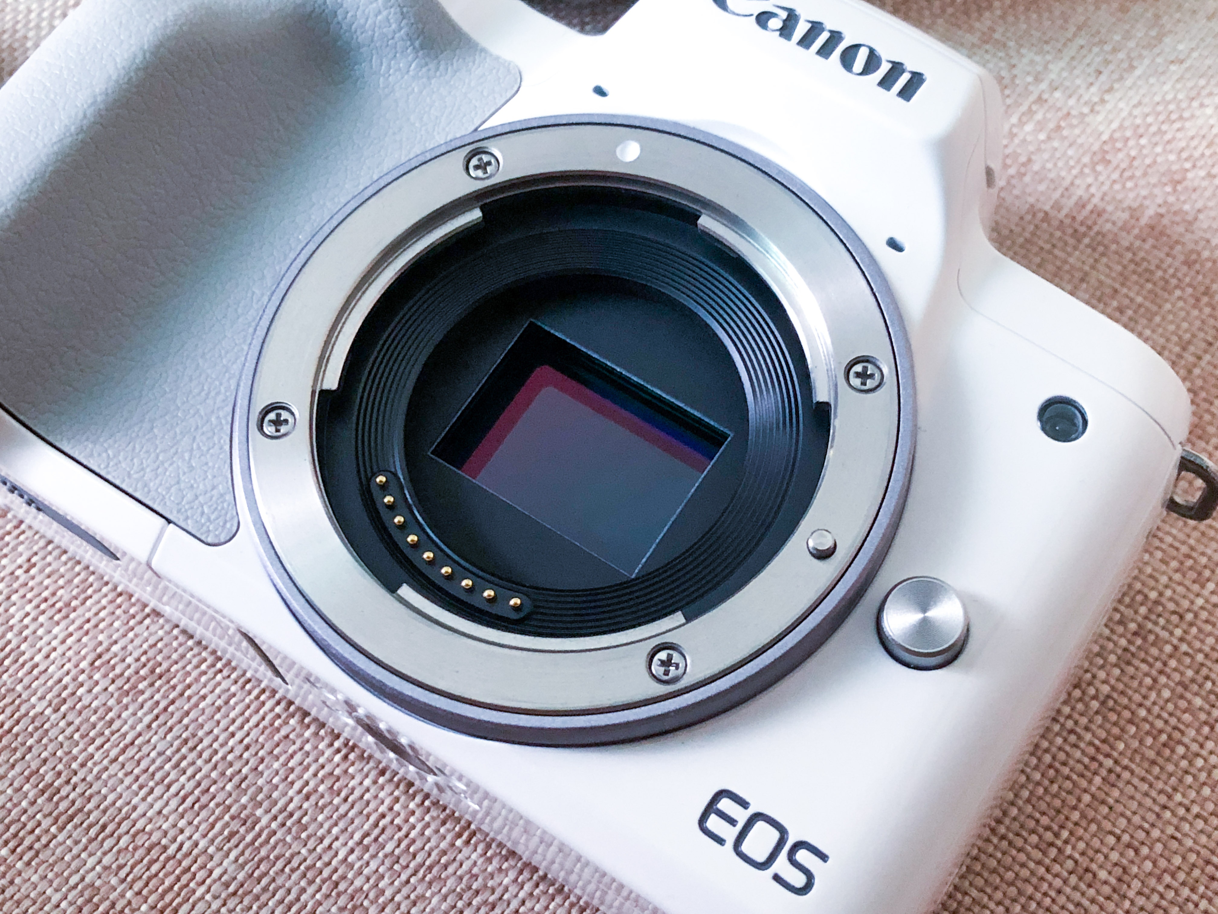 Canon ra mat EOS M50 anh 2