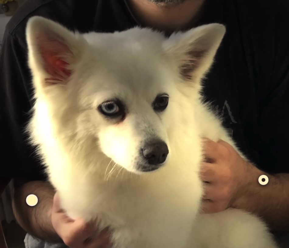 Ung dung tai tao anh sang tren iPhone hinh anh