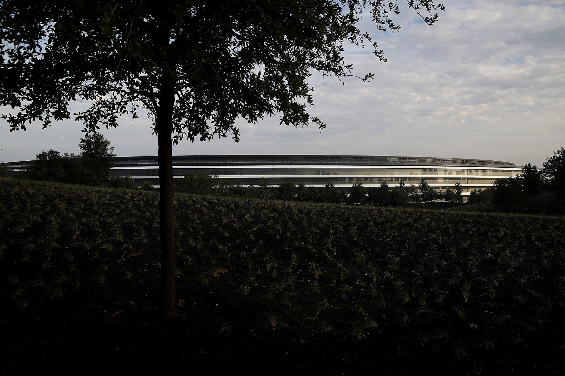 tham quan tru so apple park anh 2