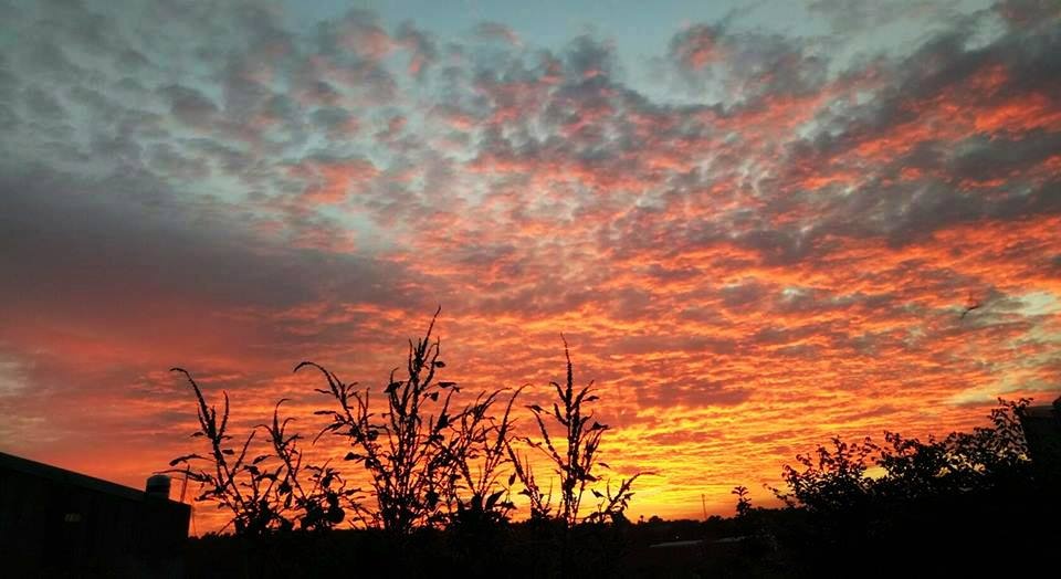 ảnh hoàng hôn sài gòn gây sốt ảnh 8 anh hoang hon sai gon gay sot anh 8