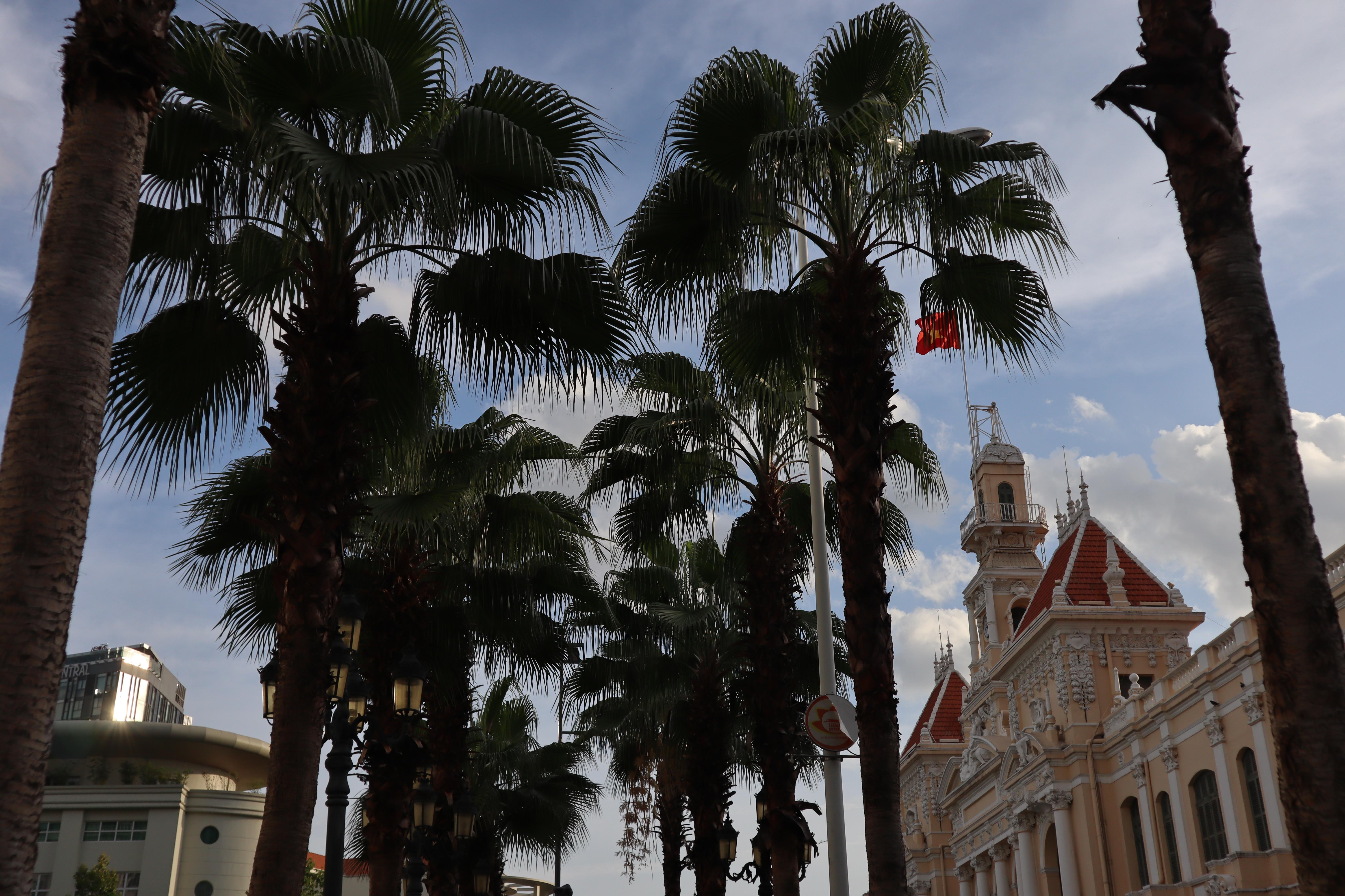 co nen mua canon m50 anh 8