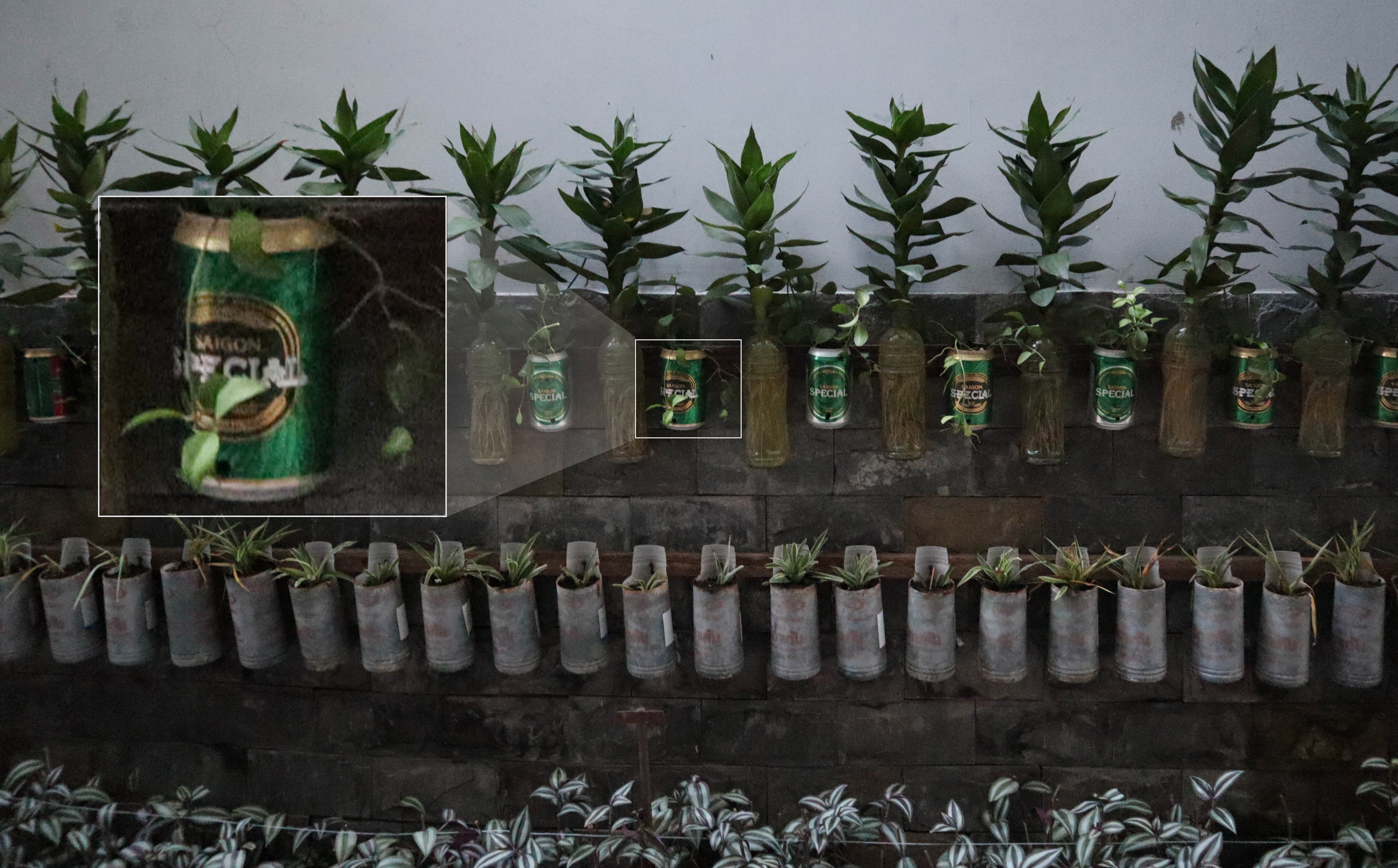 co nen mua canon m50 anh 16