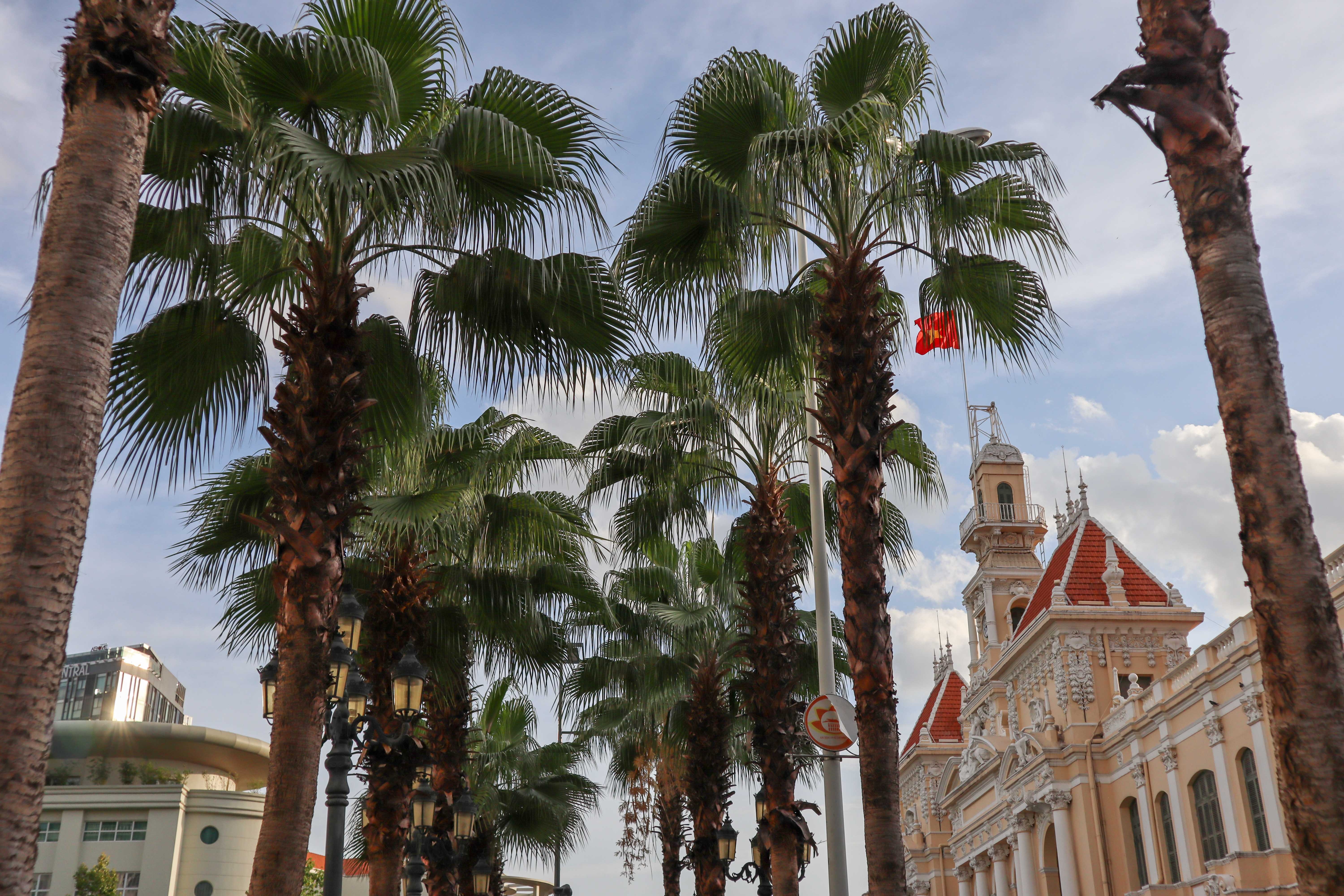 co nen mua canon m50 anh 9