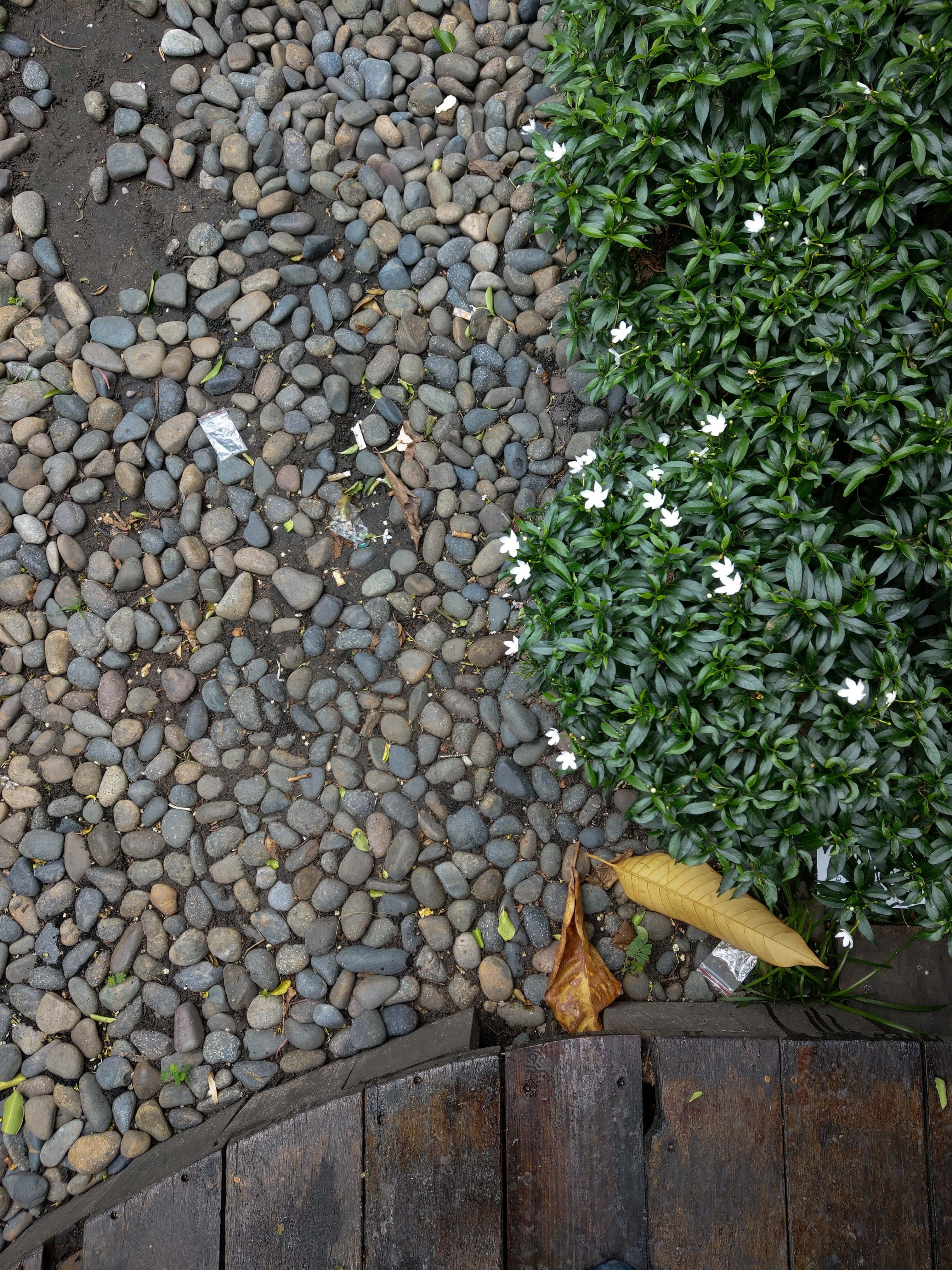 Co nen mua HTC U12 Plus anh 9