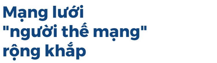 Shark ảnh 9 Shark anh 9