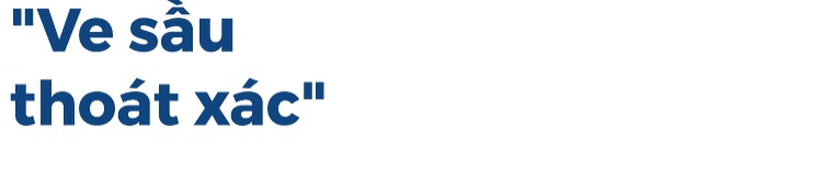 Shark ảnh 21 Shark anh 21