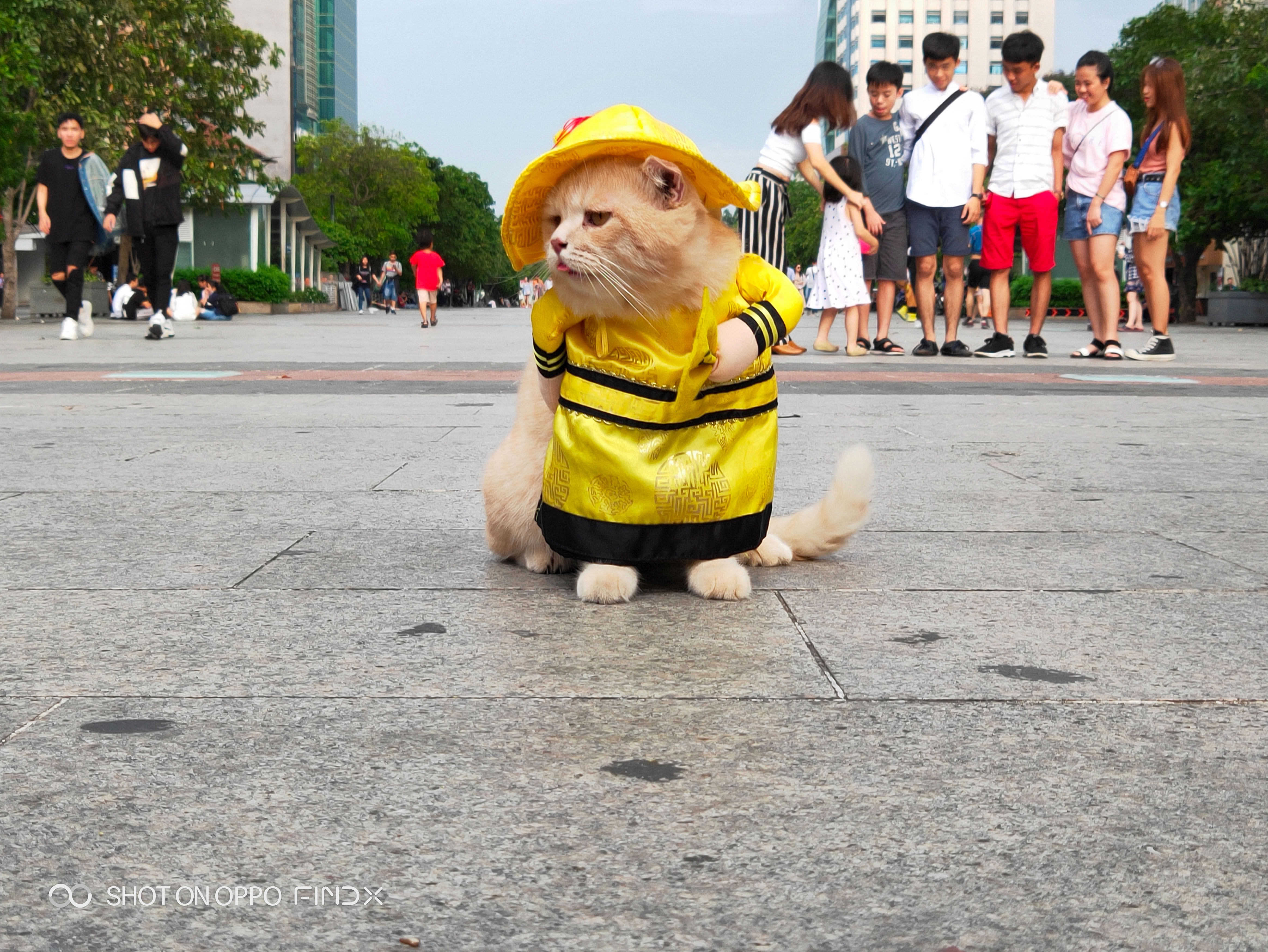 Danh gia chi tiet Oppo Find X anh 8