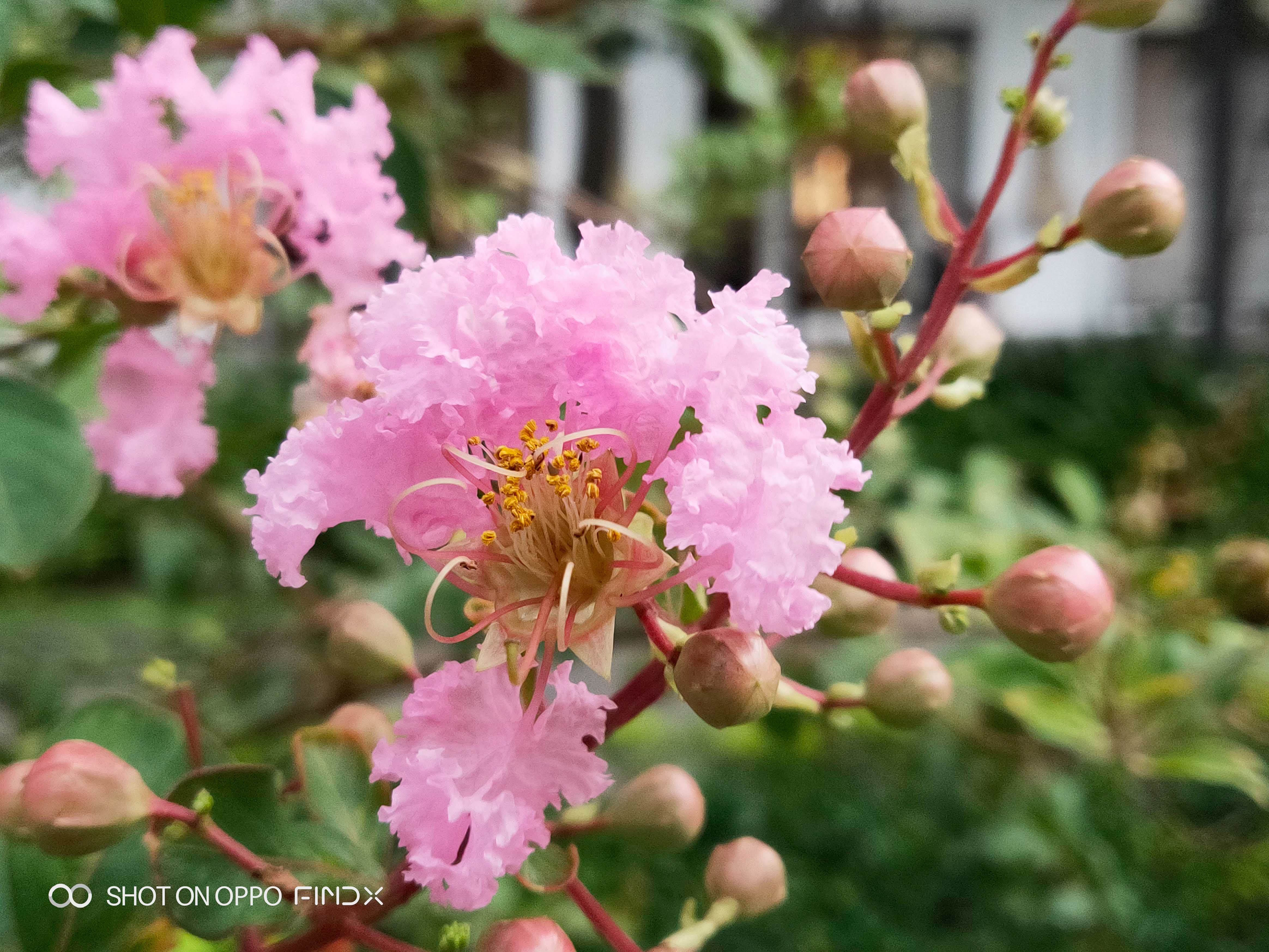 Danh gia chi tiet Oppo Find X anh 10