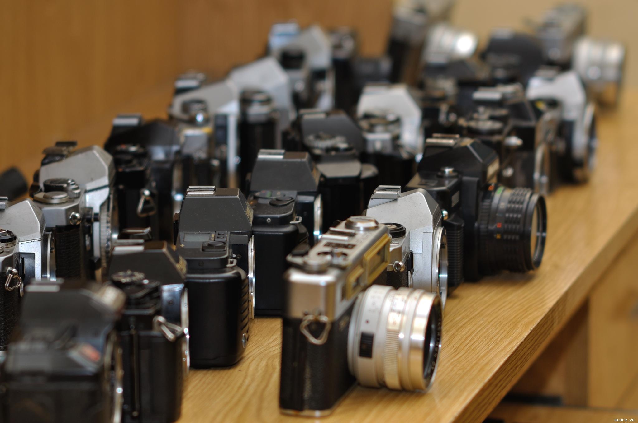 Dung giay to gia lua thue may anh tri gia 2 ty dong tai TP.HCM hinh anh