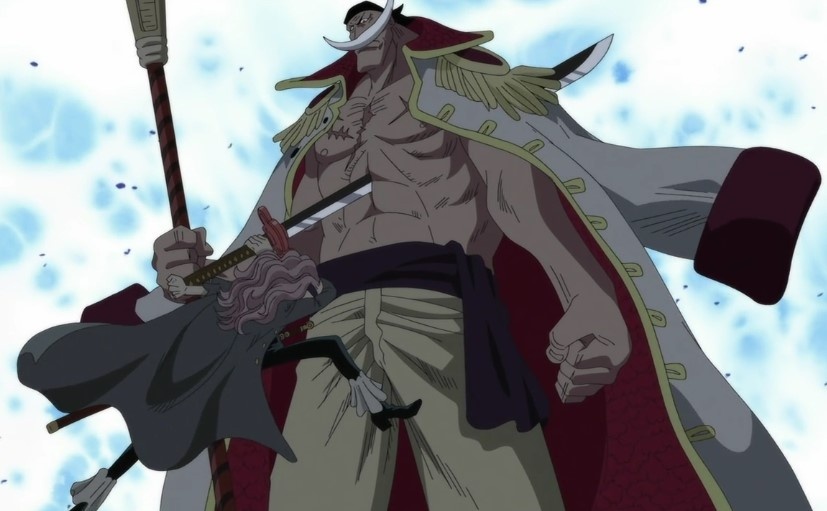 Nguoi long tieng Rau Trang trong One Piece qua doi hinh anh