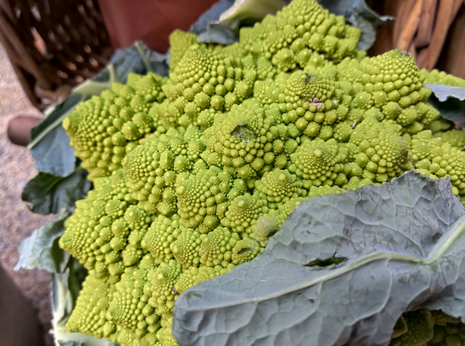 anh chup tu nokia 9 pureview anh 7