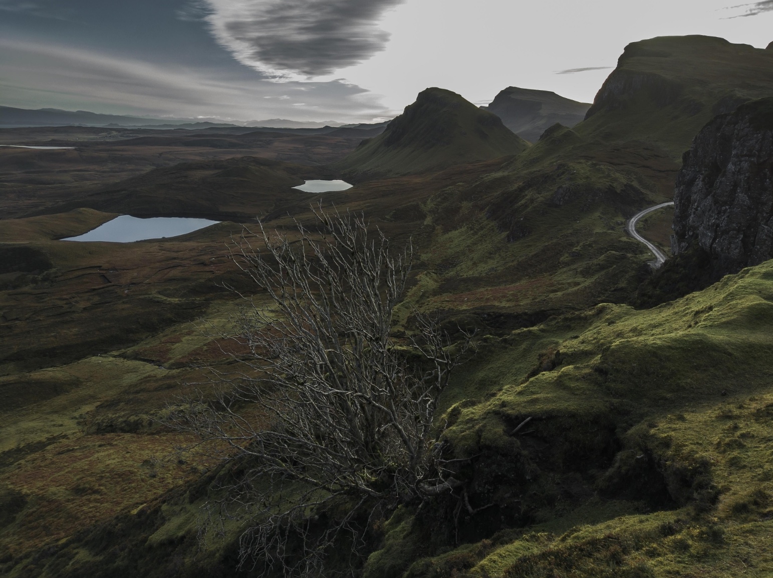 anh chup tu nokia 9 pureview anh 2