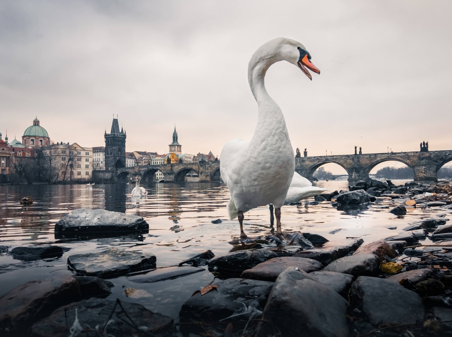 anh chup tu nokia 9 pureview anh 3