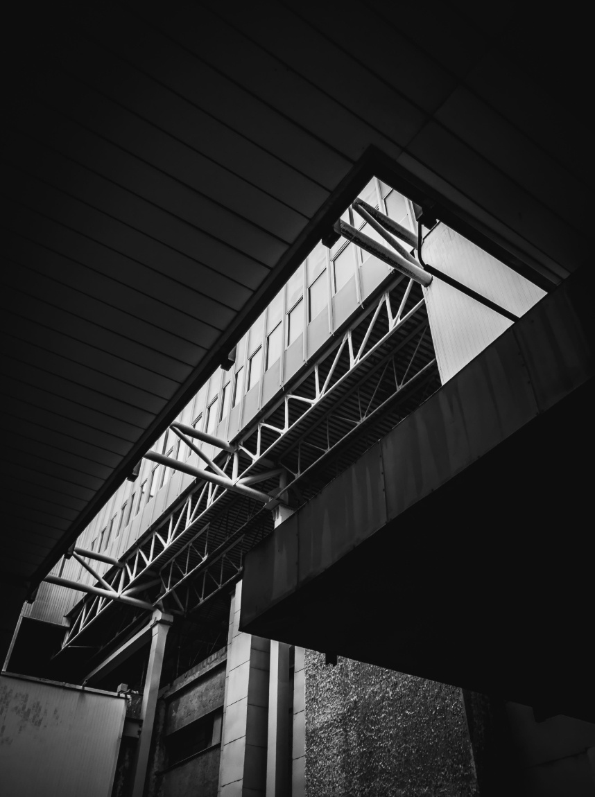 anh chup tu nokia 9 pureview anh 14